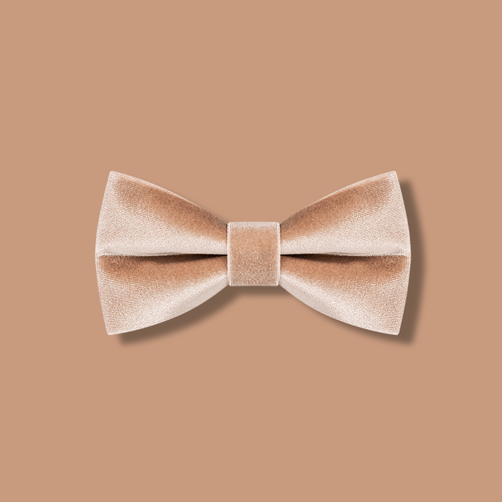 Papillon in velluto color champagne da uomo - Champagne - image 1