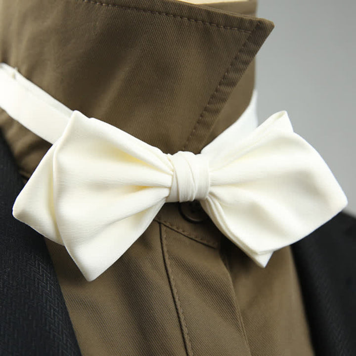 Papillon a punta speciale per matrimonio da uomo - Bianco - image 16
