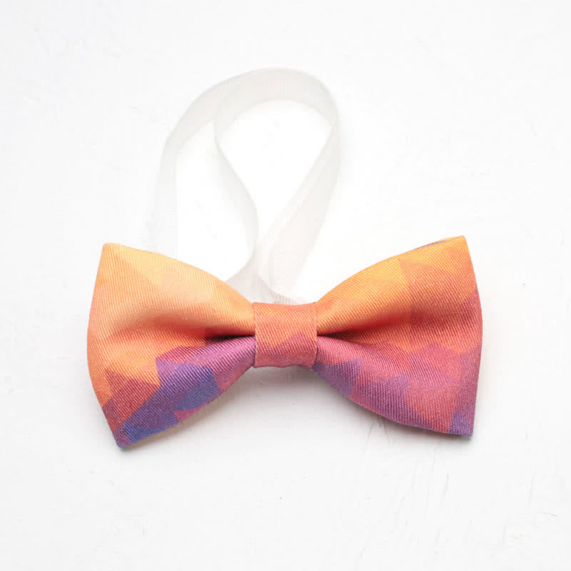 Papillon semplice da uomo con sfumatura arcobaleno - Stile n. 1 - image 1
