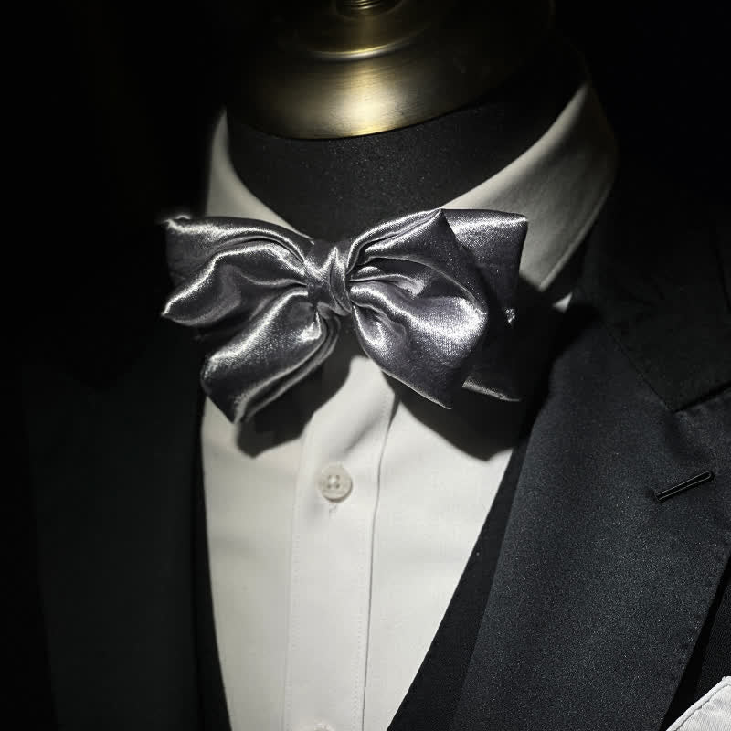 Papillon doppio strato argento metallizzato Cool Future da uomo - Argento - image 0