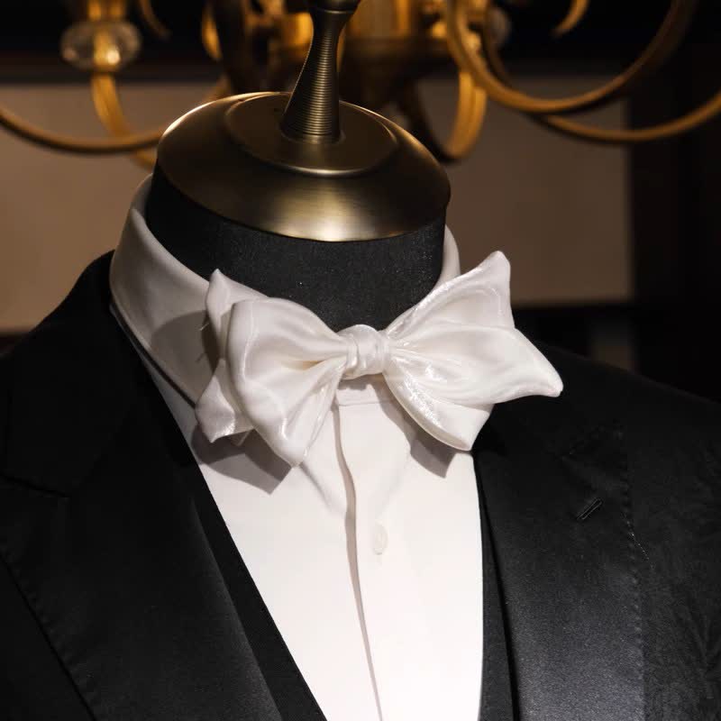 Papillon da uomo con cigno bianco perla grazioso - Bianco - image 0