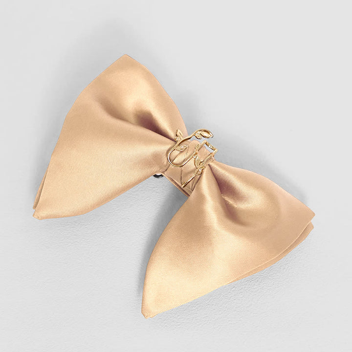 Fazzoletto da taschino con papillon oversize a punta e foglia di vite dorata da uomo - Avorio - Papillon - image 5