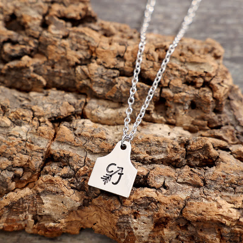 Collana in acciaio inossidabile con iniziale personalizzata in argento con mini targhetta per bovini - image 9