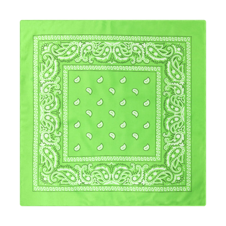 Fazzoletto da taschino vintage con stampa Paisley Cashew e fibbia a stella argentata - Stile n. 5 - image 6
