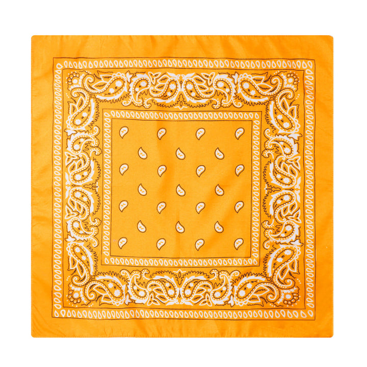 Fazzoletto da taschino vintage con stampa Paisley Cashew e fibbia a stella argentata - Stile n. 17 - image 18