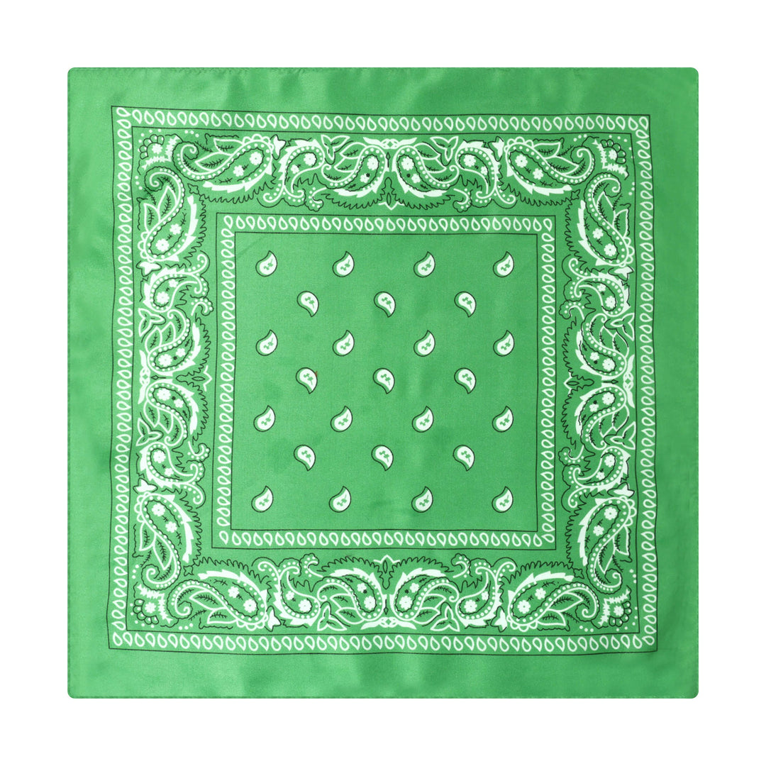 Fazzoletto da taschino vintage con stampa Paisley Cashew e fibbia a stella argentata - Stile n. 13 - image 14