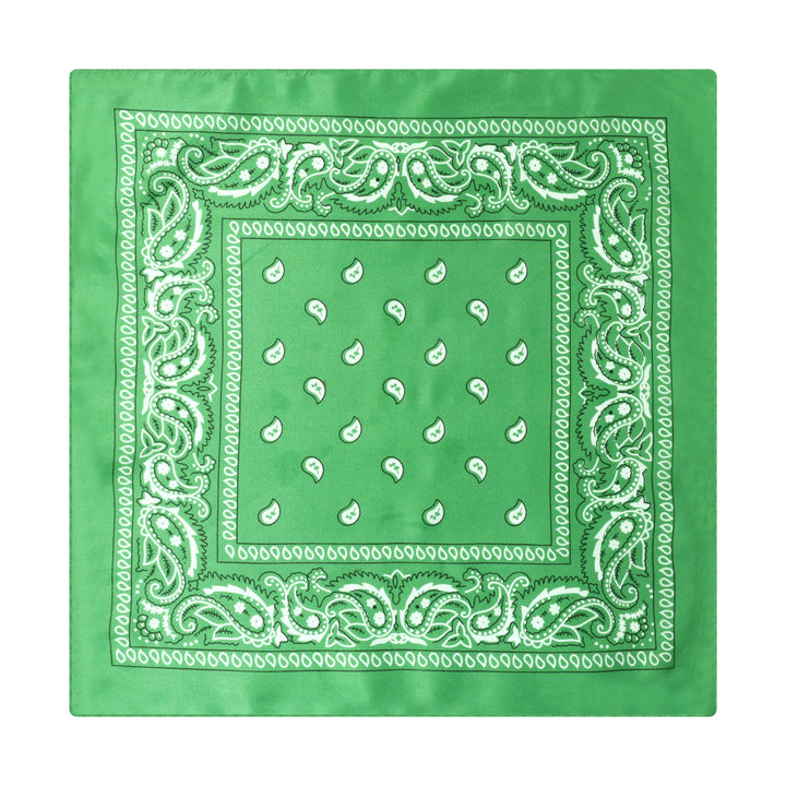 Fazzoletto da taschino vintage con stampa Paisley Cashew e fibbia a stella argentata - Stile n. 13 - image 14