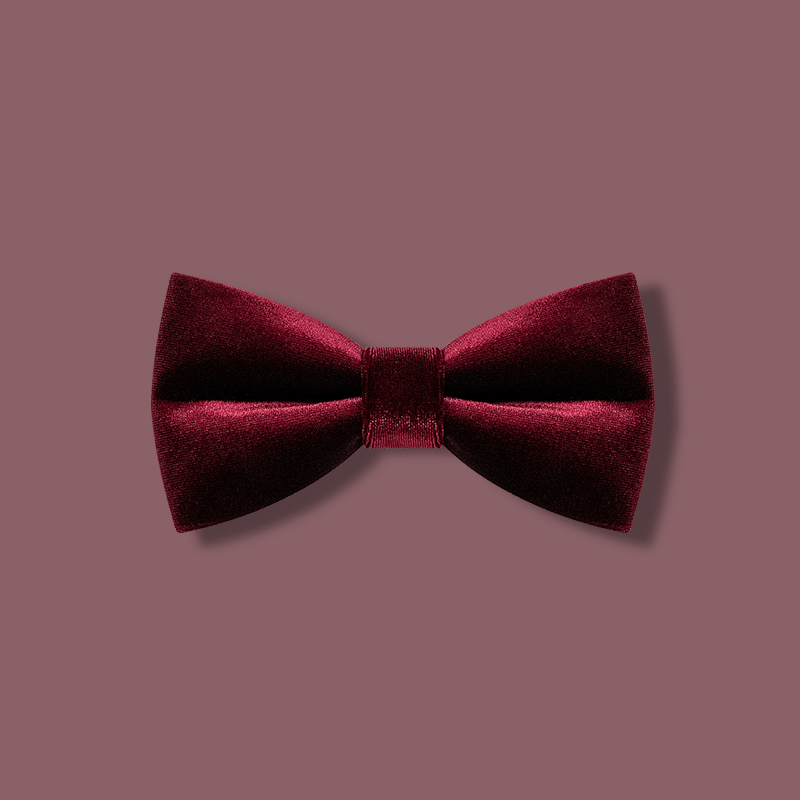 Papillon in velluto color bordeaux da uomo - Borgogna - image 1