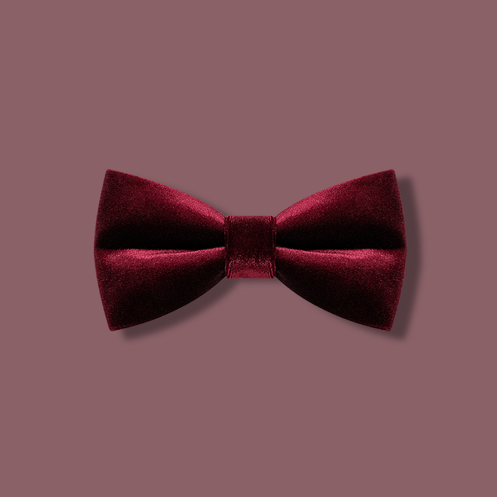 Papillon in velluto color bordeaux da uomo - Borgogna - image 1