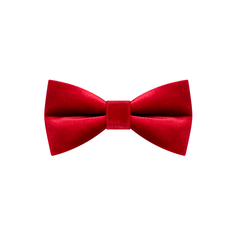 Papillon in velluto rosso brillante da uomo - image 6